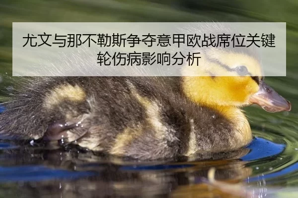 you-wen-yu-na-bu-le-si-zheng-duo-yi-jia-ou-zhan-xi-wei-guan-jian-lun-shang-bing-ying-xiang-fen-xi-2-459.jpg